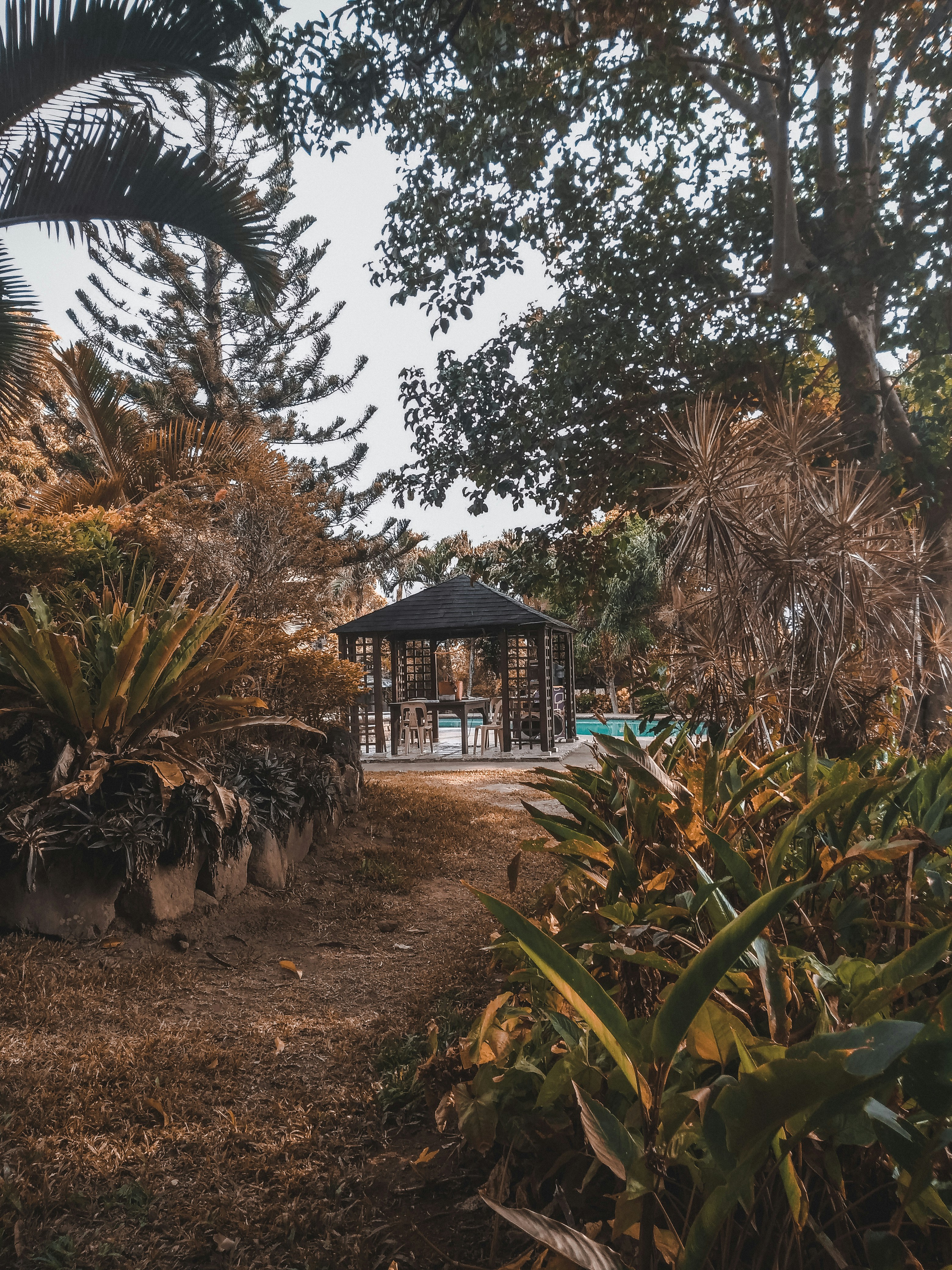 black gazebo at poolside across garden