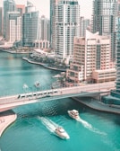 aerial photography of bridge
