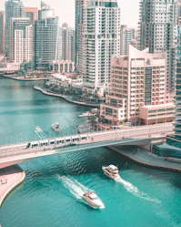 aerial photography of bridge