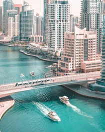 aerial photography of bridge