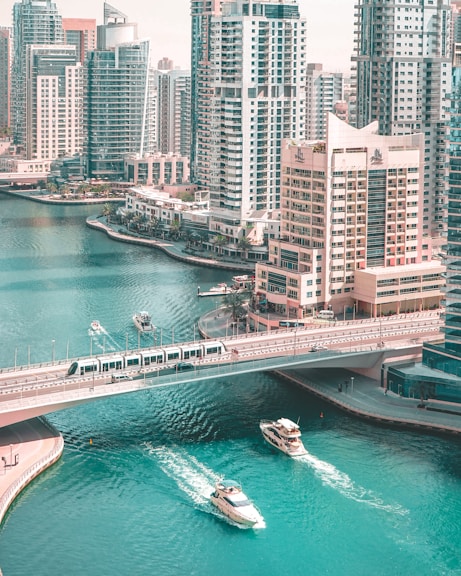 aerial photography of bridge