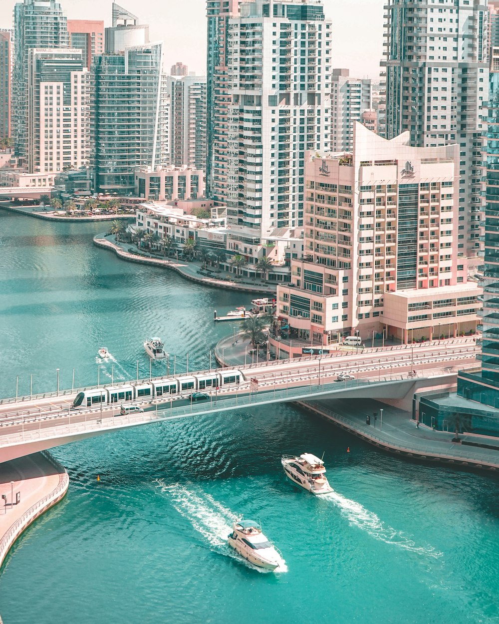 aerial photography of bridge