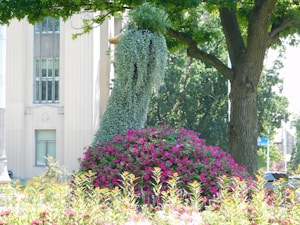 Garden Decor