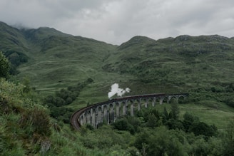 train track in forest