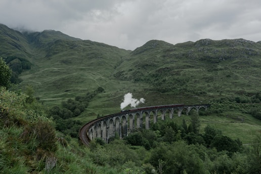 train track in forest