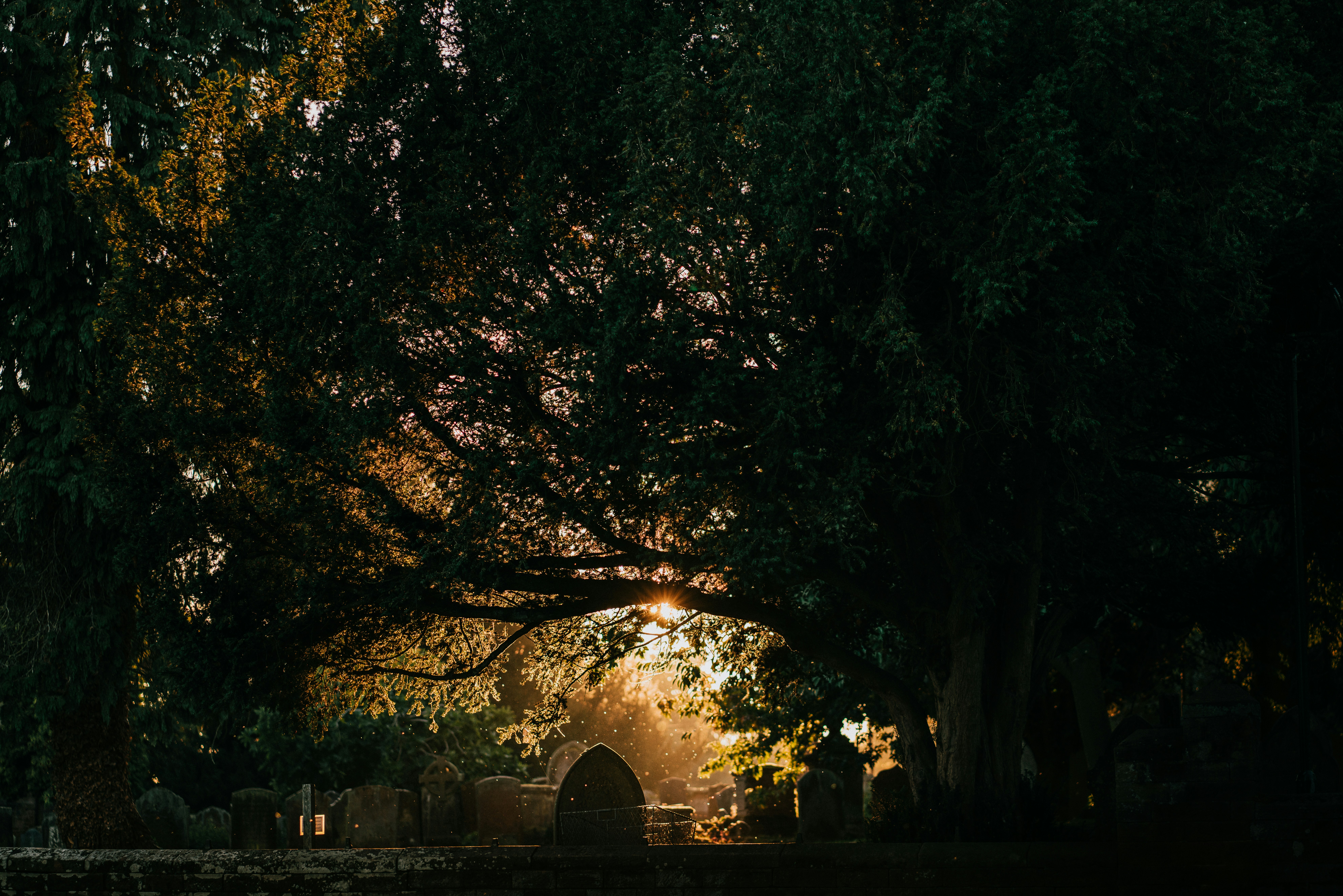 Photo by emiliecotterill