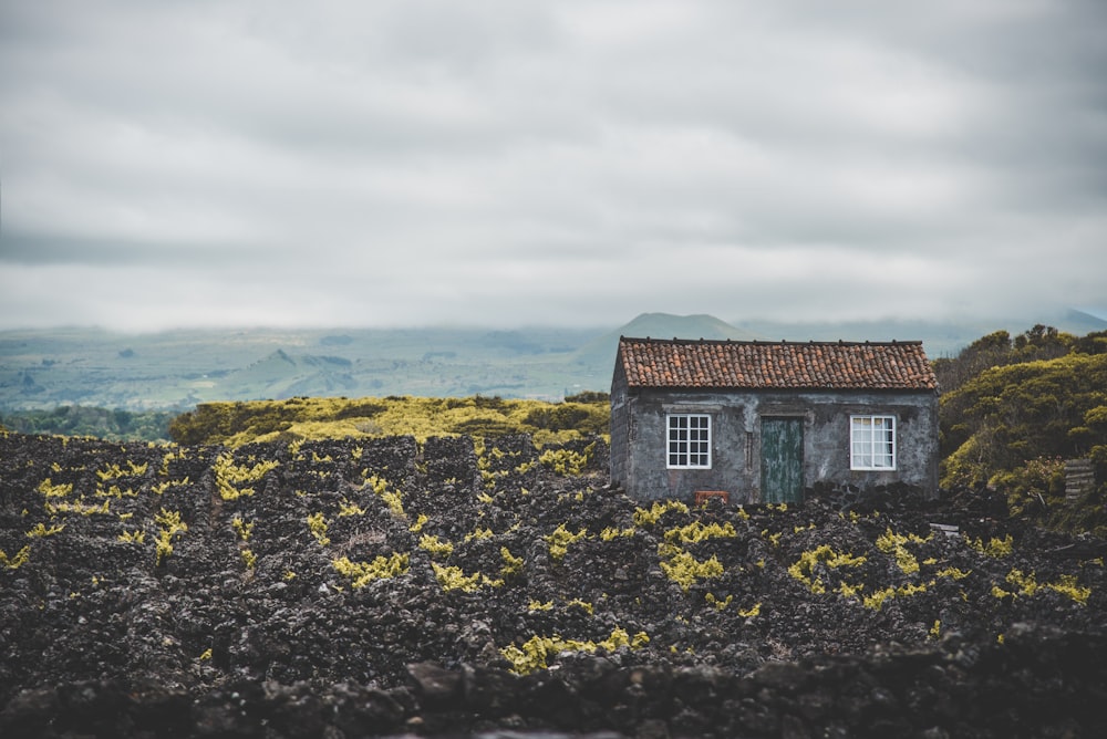 gray and brown house under cloudy sky