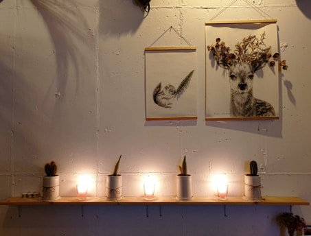 A minimalist wall display features two pieces of artwork hanging on a textured concrete wall. One is an illustration of a squirrel holding a fern, and the other depicts a deer with plant-like antlers. Below, a wooden shelf holds several potted cacti and small candles, casting a warm glow.
