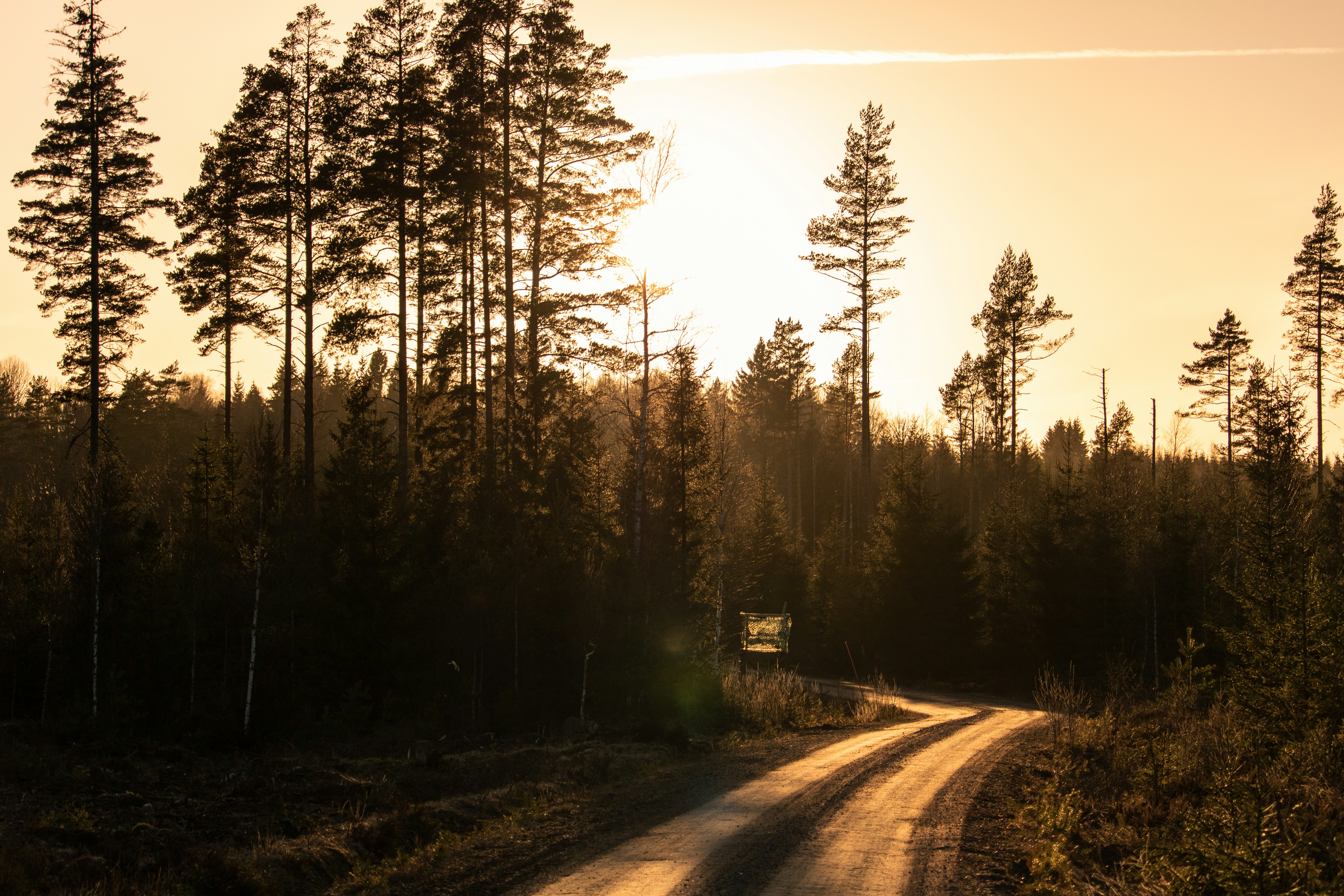 Photo by schranzandrin