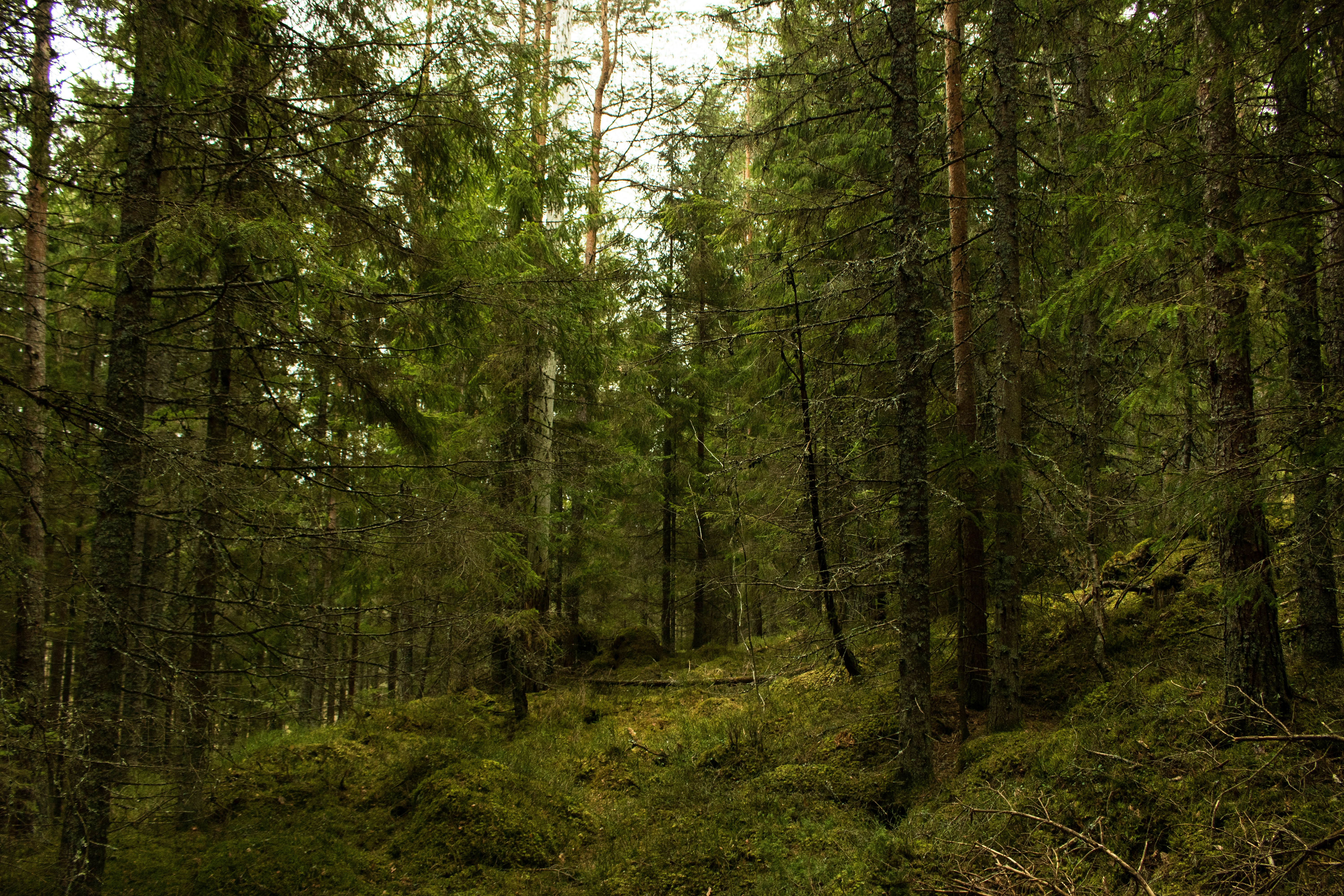 Photo by schranzandrin