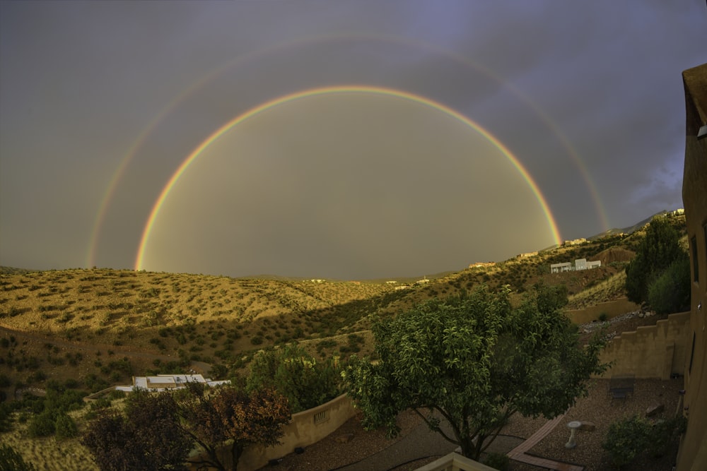 árboles verdes y marrones bajo el cielo nublado