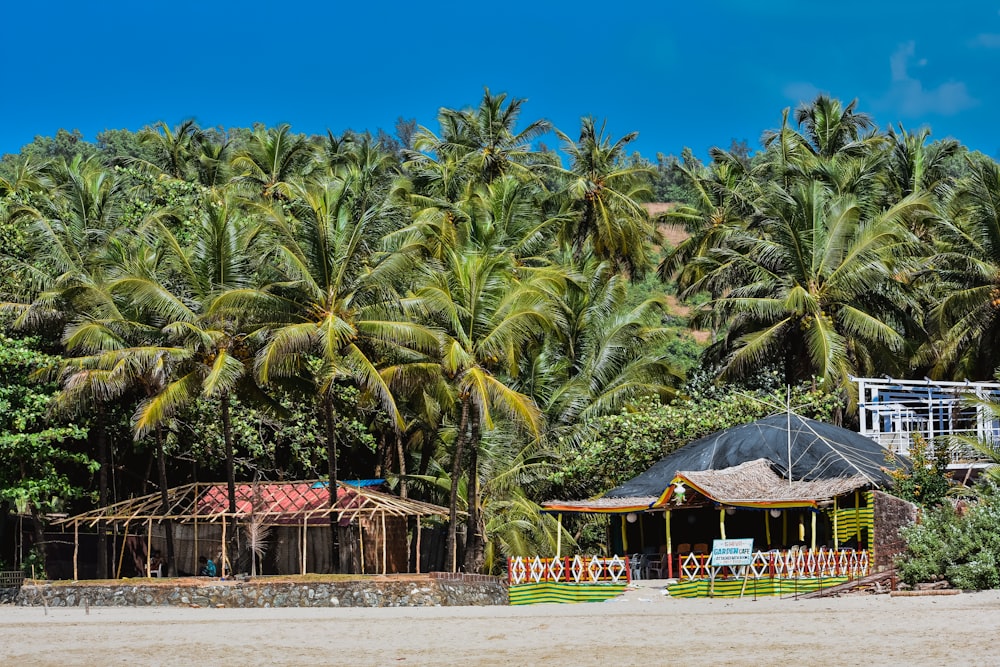 gazebo na floresta