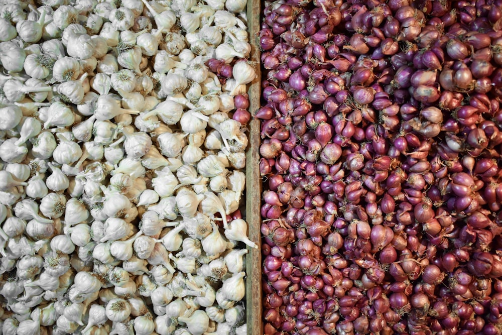 garlic and onions on basket