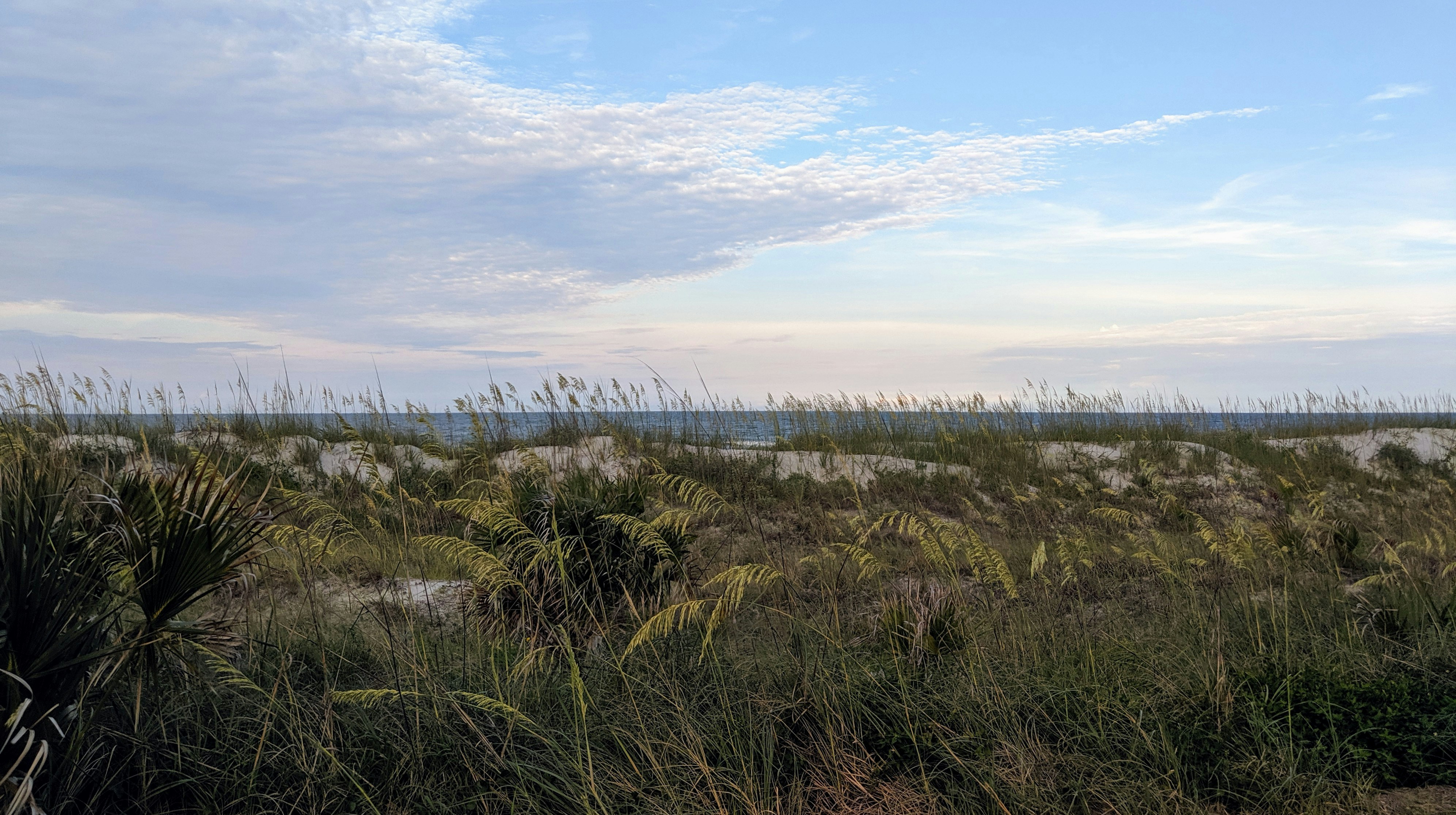 Photo by nickfreiling