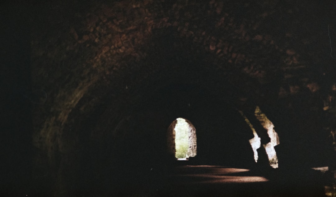 brown dim-lighted tunnel