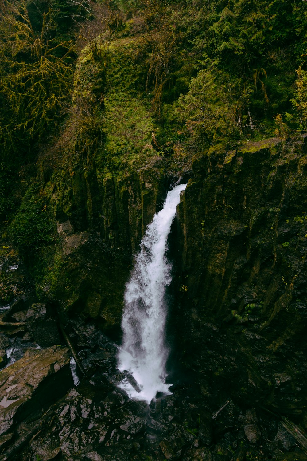 waterfall during daytime