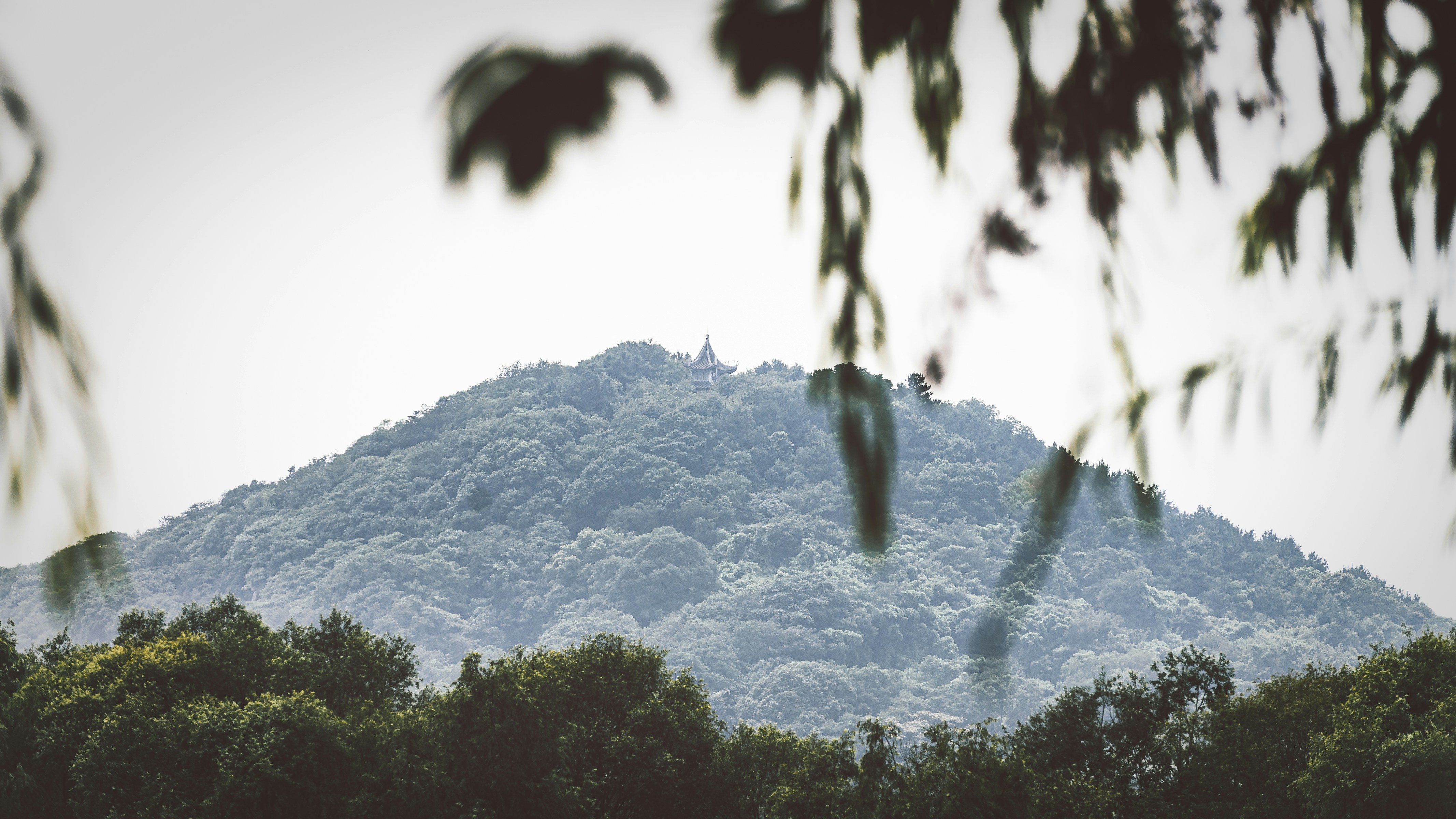 Photo by chuchongju