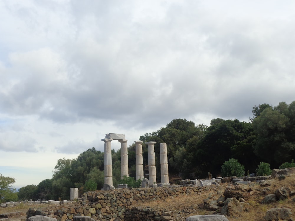 white pillars near trees