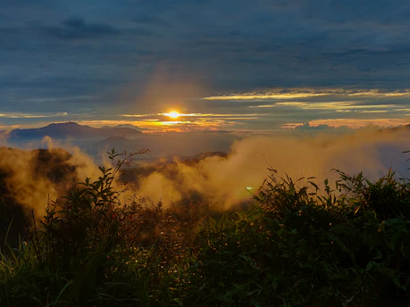 A serene mountain sunrise casting golden light over lush Andean forest.