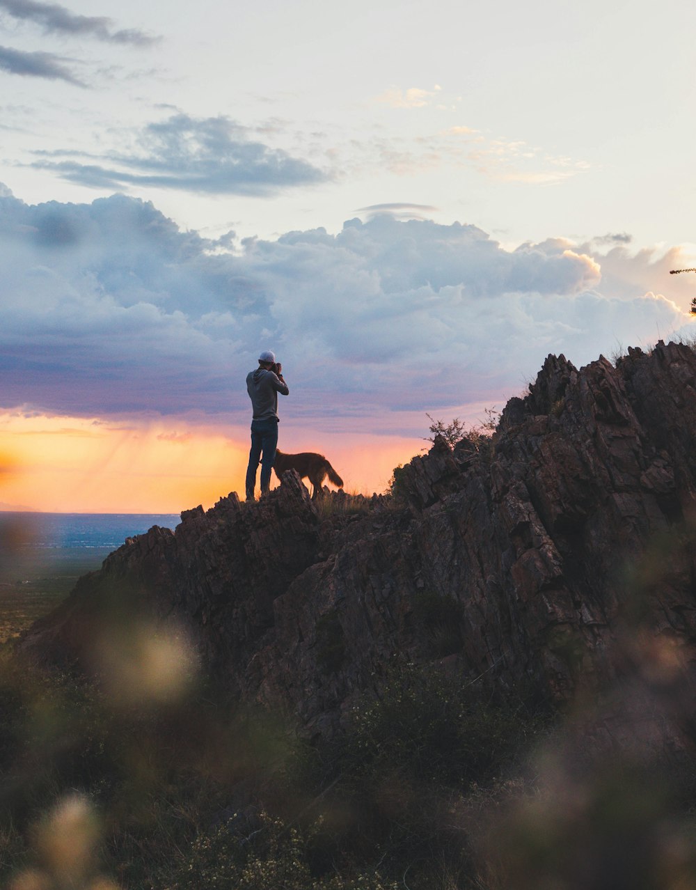 man standing on cliff beside dog