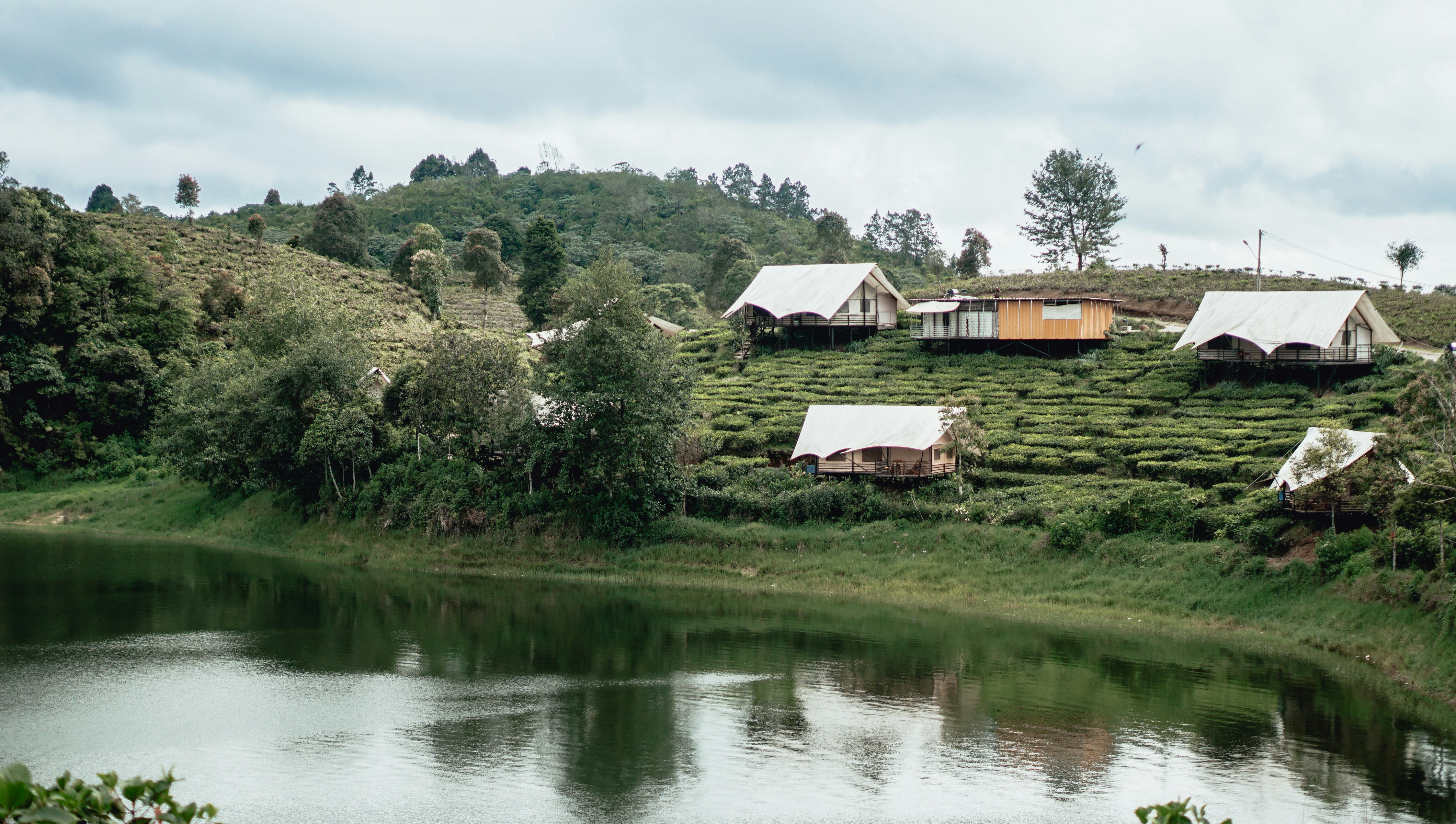houses on hill during daytime