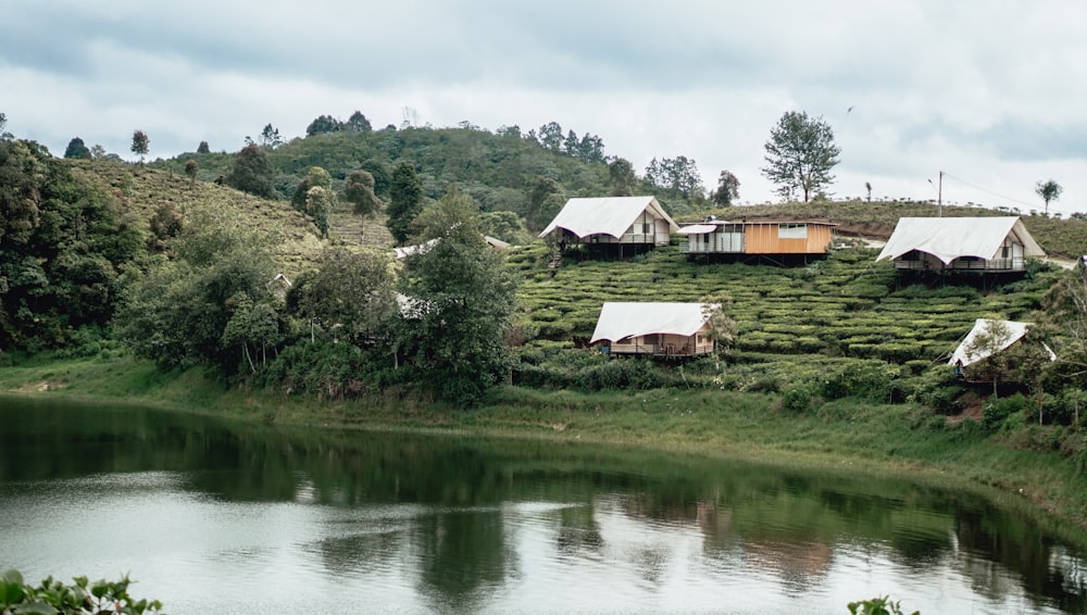 houses on hill during daytime