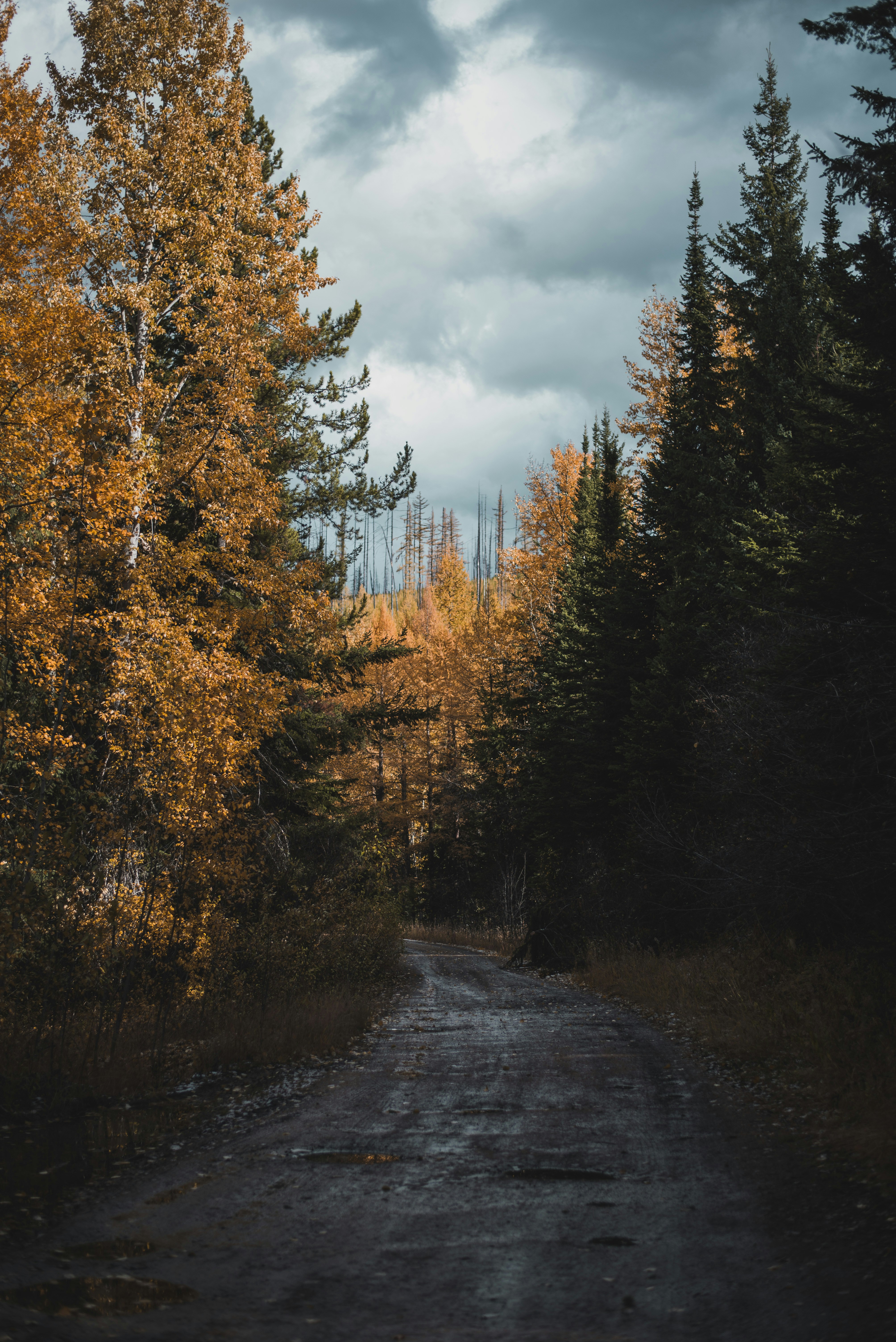 Photo by jonnyrogers