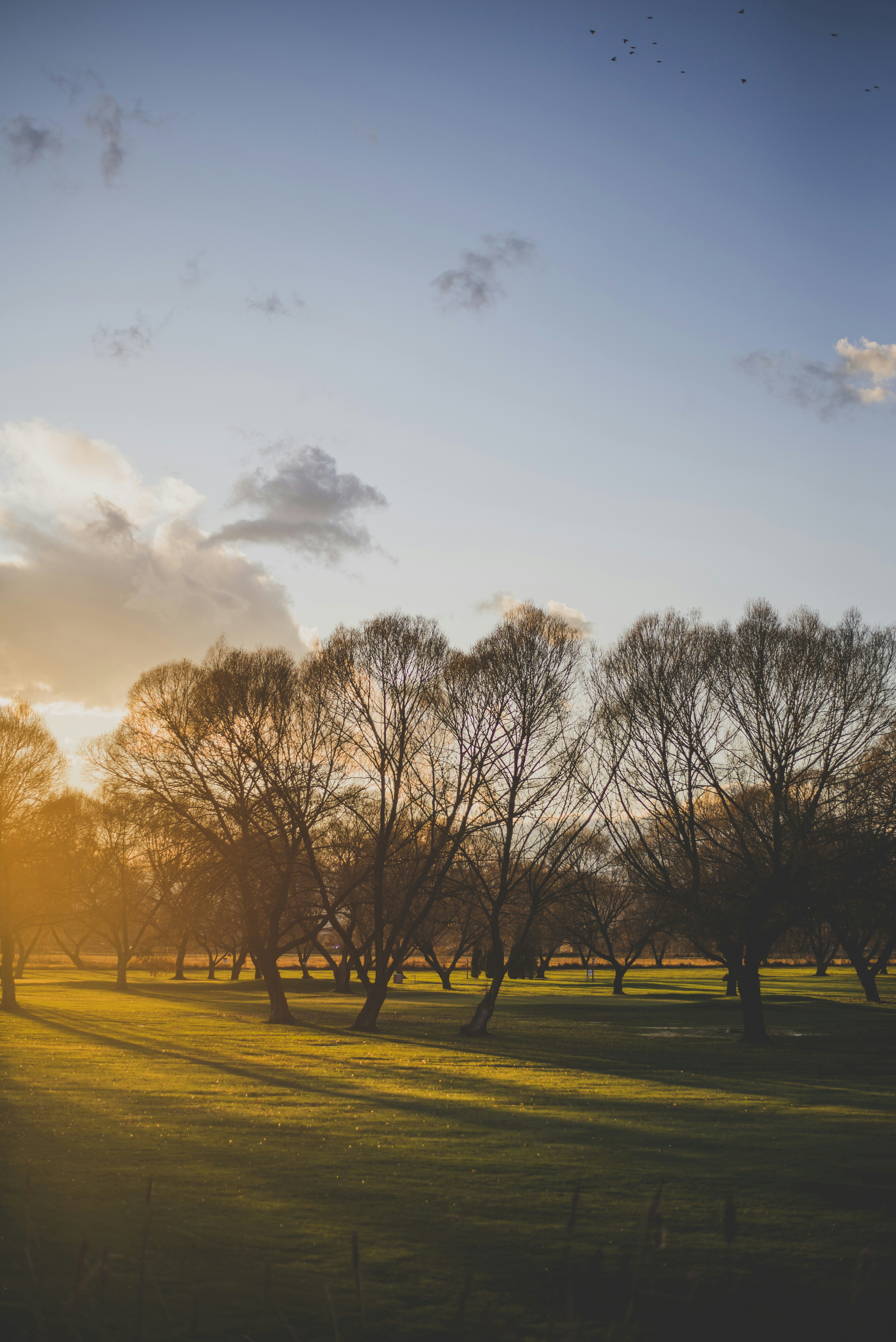 Photo by jonnyrogers