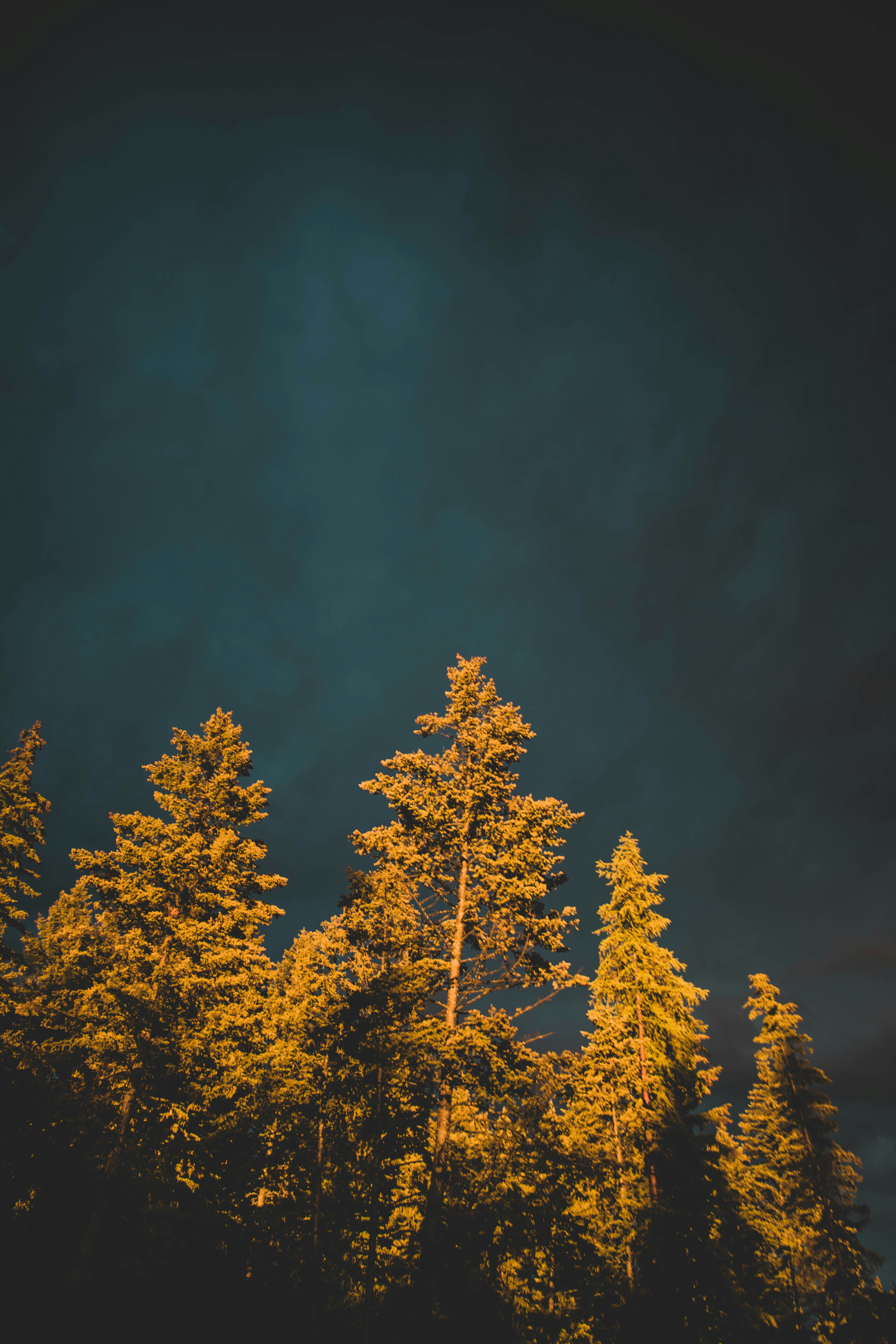 Photo by jonnyrogers