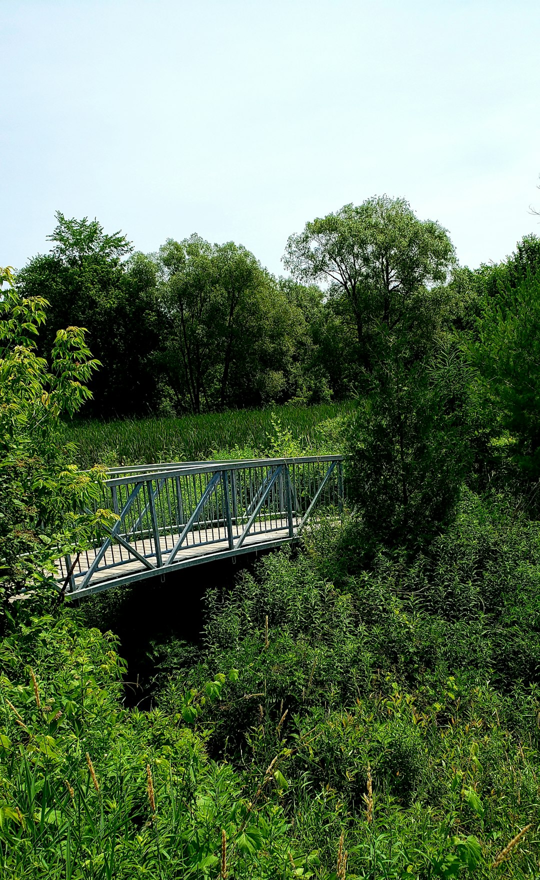 Bridge photo spot Nokiidaa Trail Old Toronto