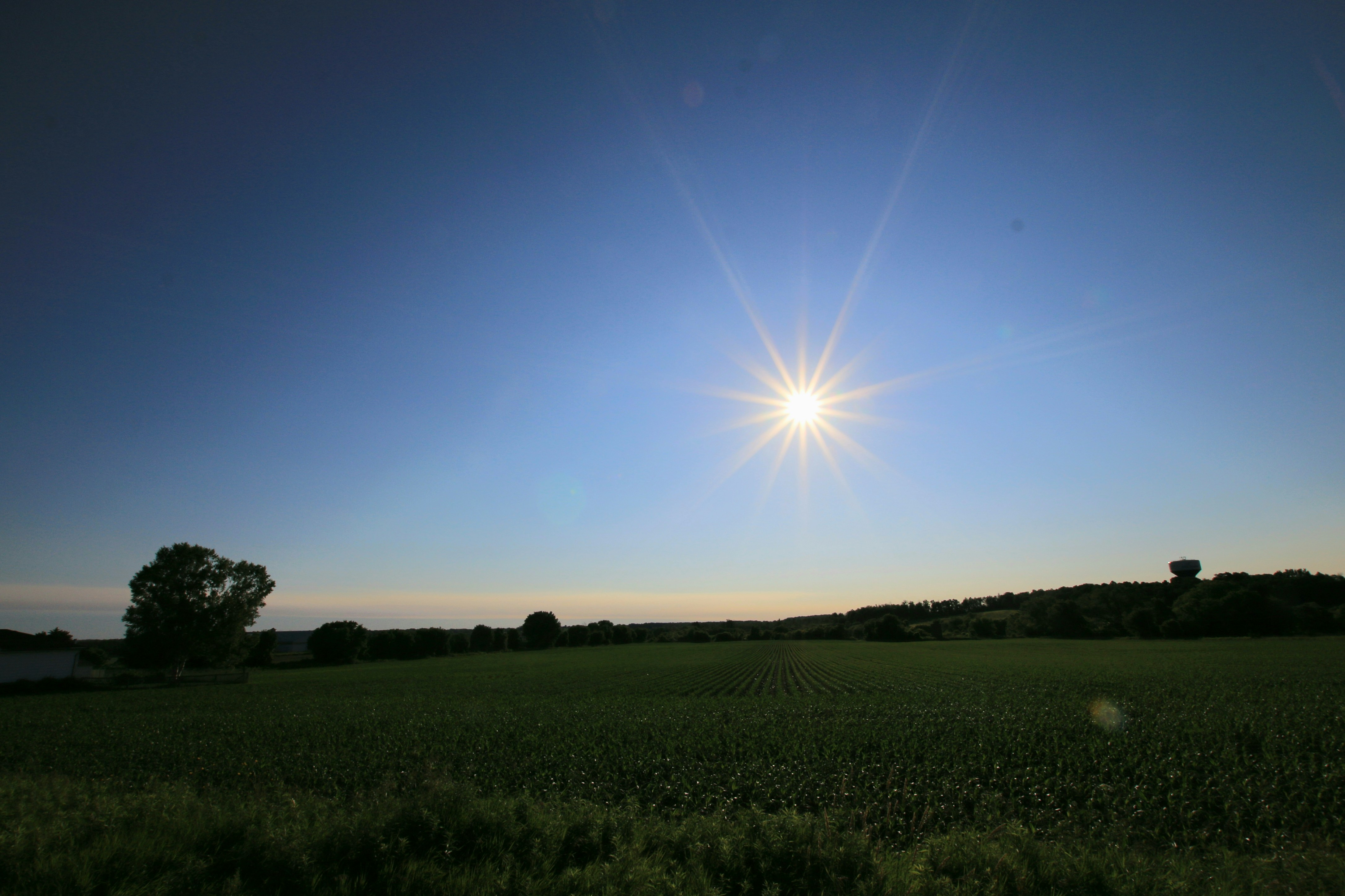 Photo by richardworks