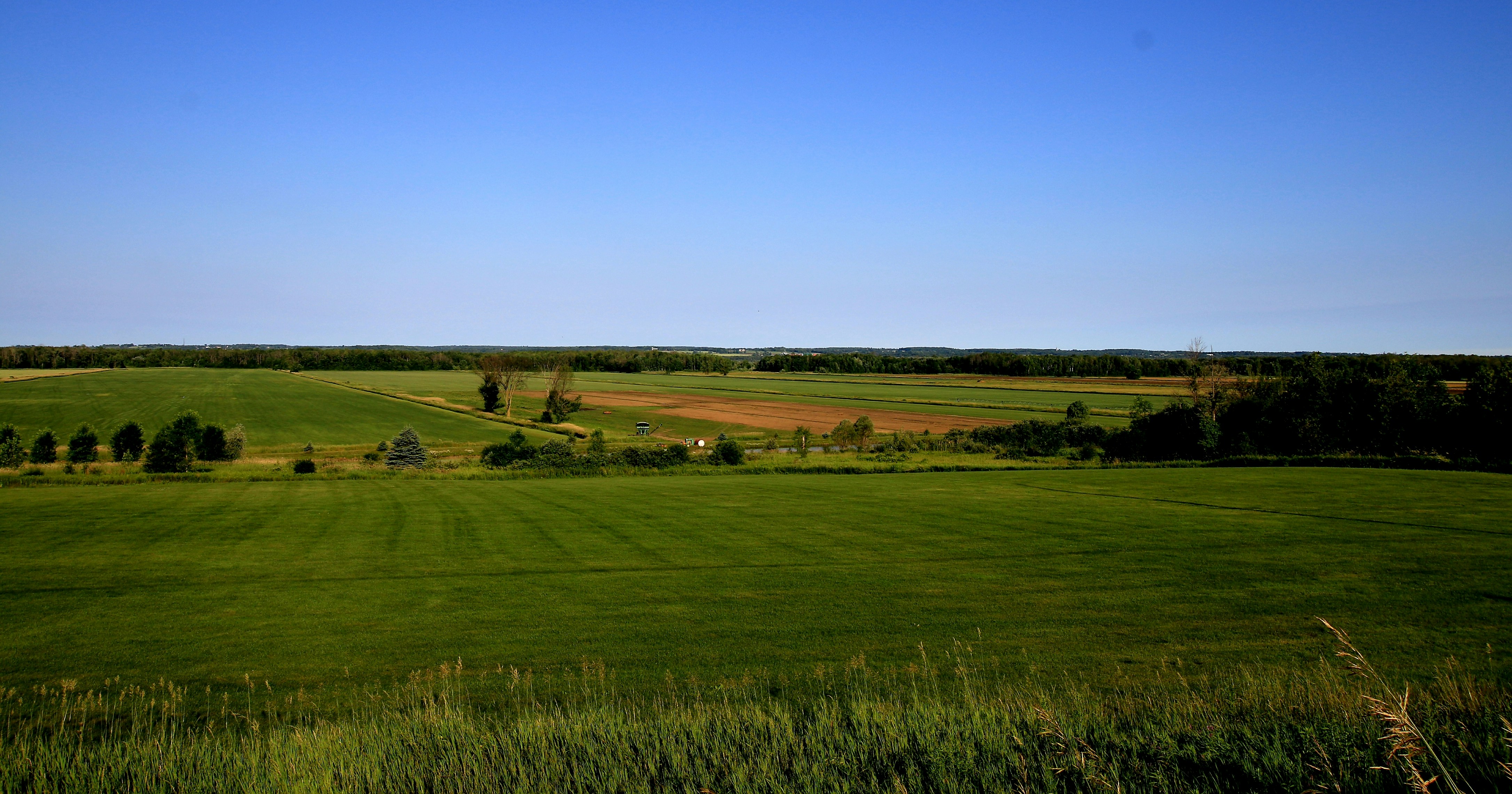 Photo by richardworks