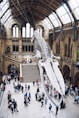 people looking up into megalodon skeleton