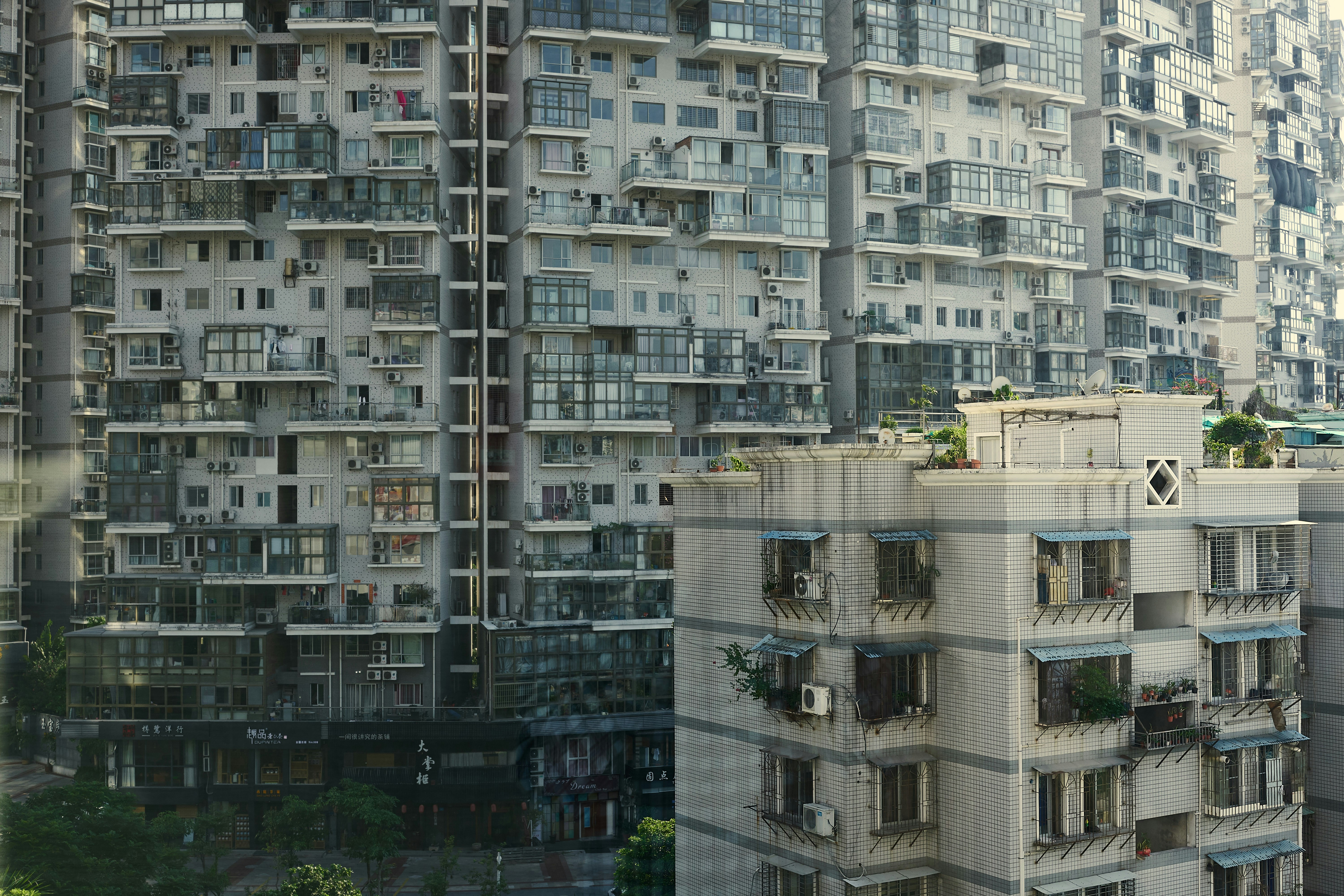 Photo by hendrikwill