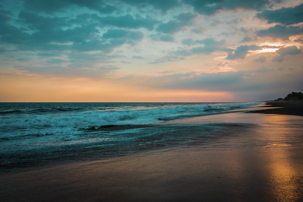 seashore scenery