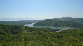 A serene landscape featuring a lush green forest under a clear blue sky.