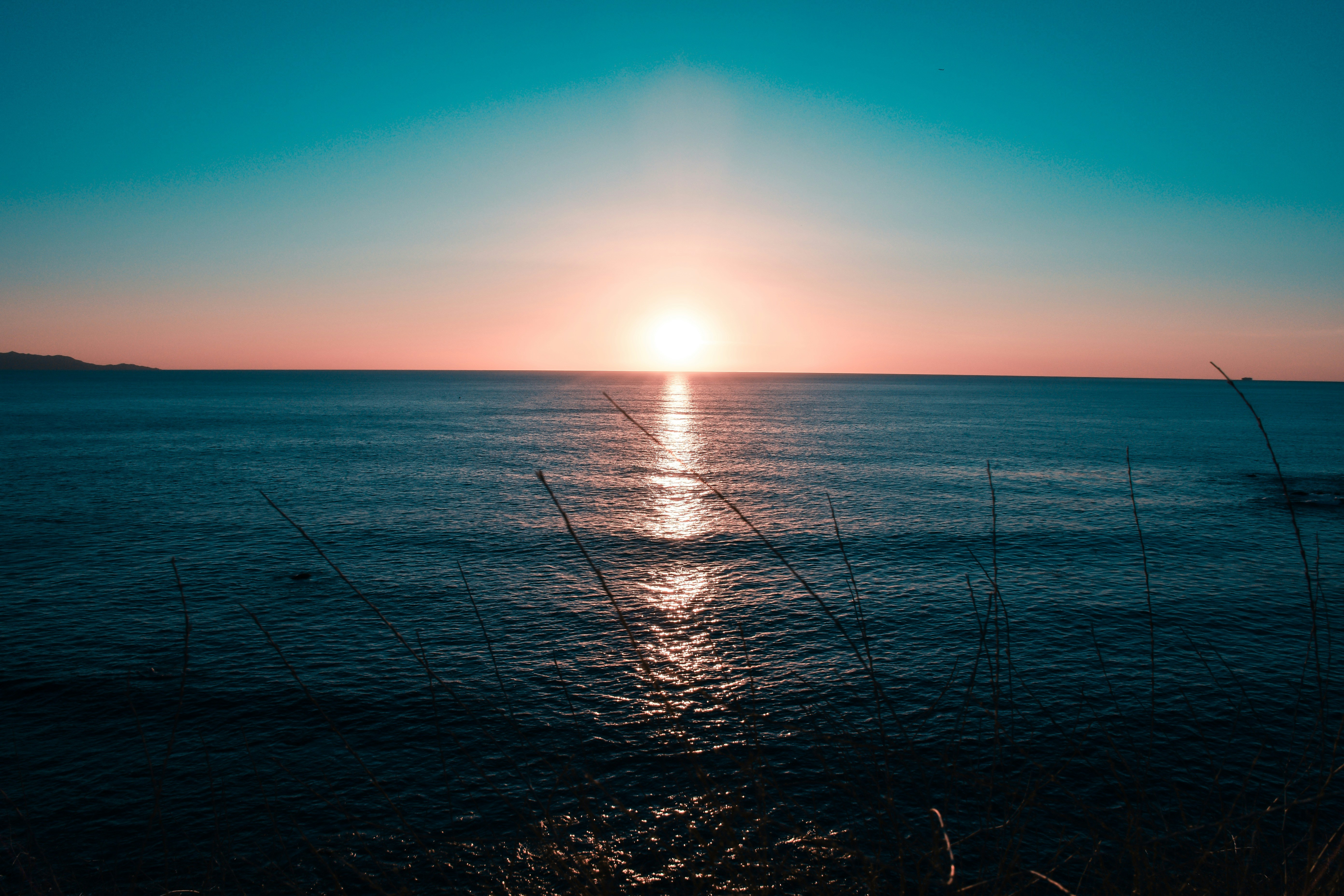 Photo by guss_bedolla