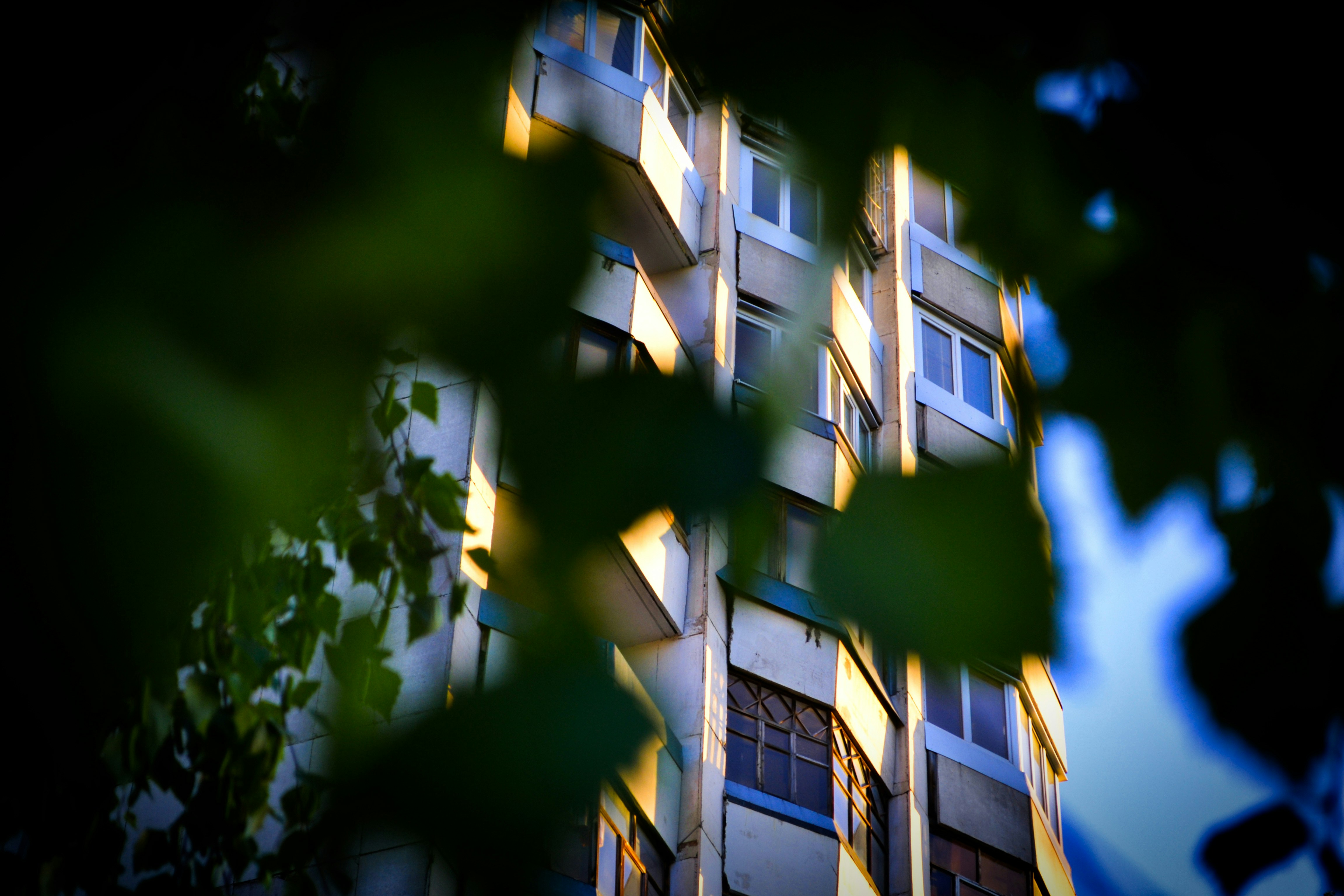 Photo by denisgibbon