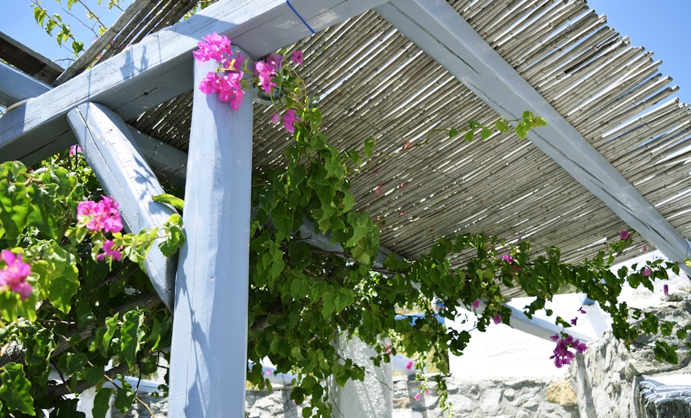 white pergola