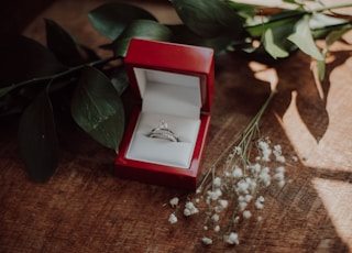 silver-colored ring in red box