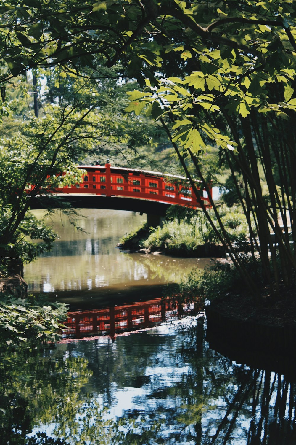 red bridge near green trees