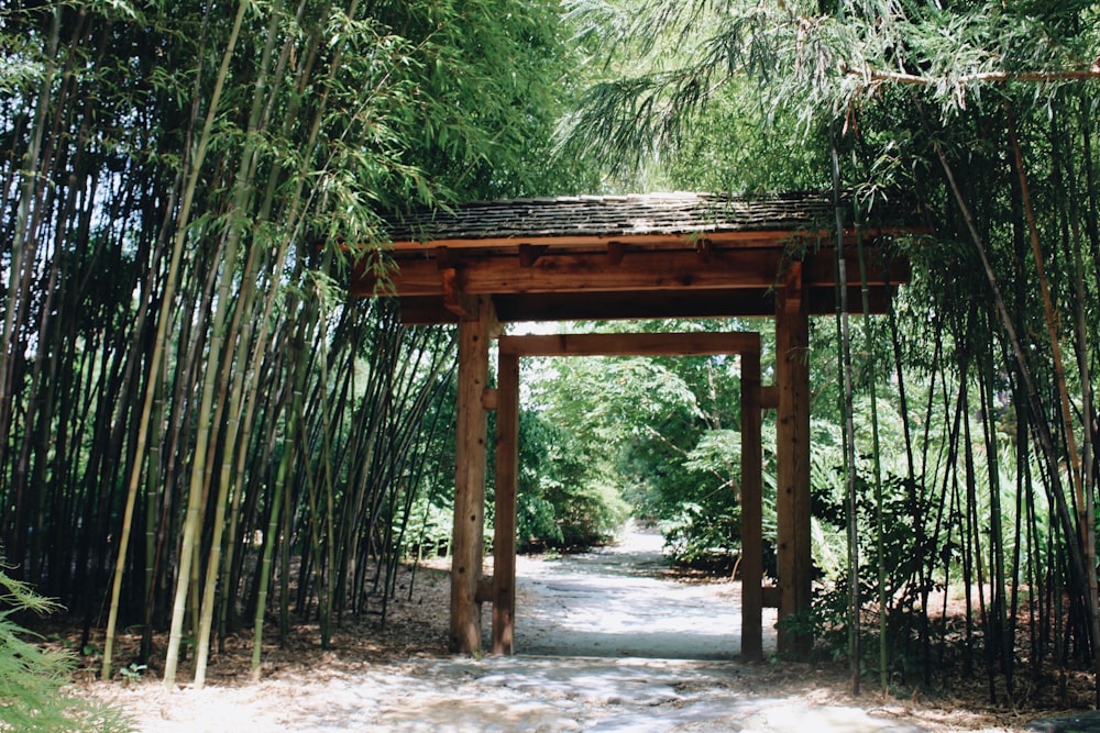 brown wooden gate near bamboo trees