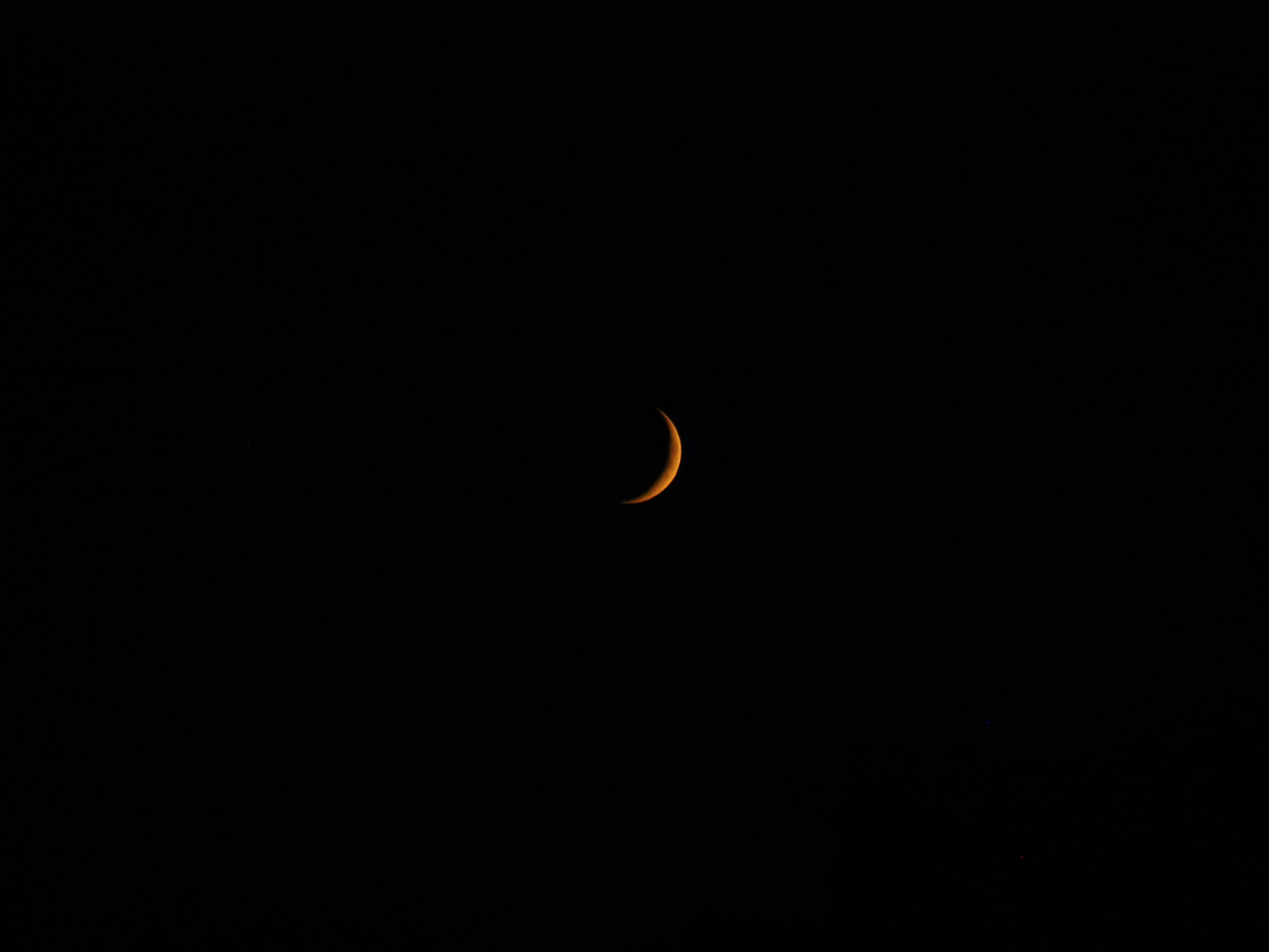 Photo by nimbus_vulpis