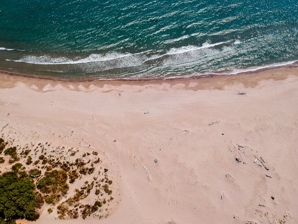 aerial photo of sea shore