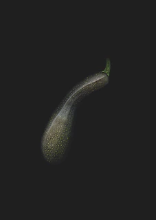 Freshly harvested zucchinis resting on a bed of straw, highlighting their smooth, dark green skin.