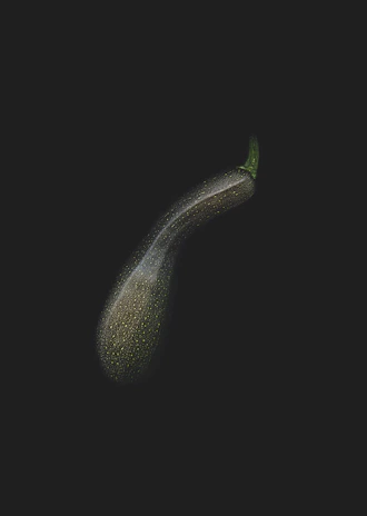 Freshly harvested zucchinis resting on a bed of straw, highlighting their smooth, dark green skin.