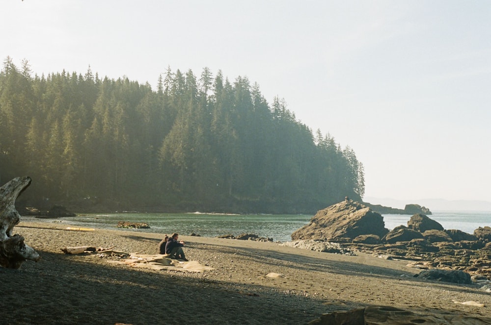 people on seashore during daytime