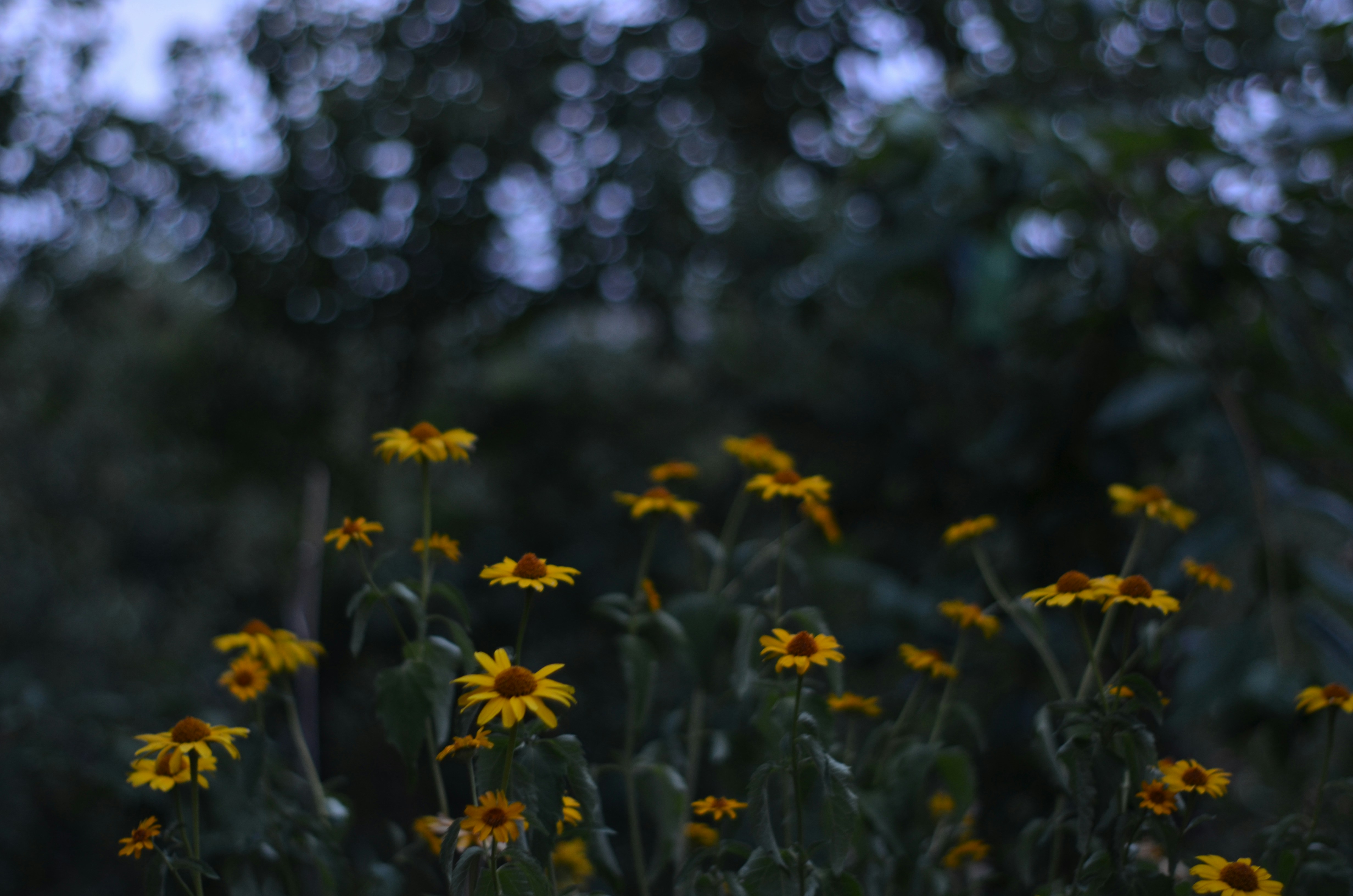 Photo by poliezhaievv