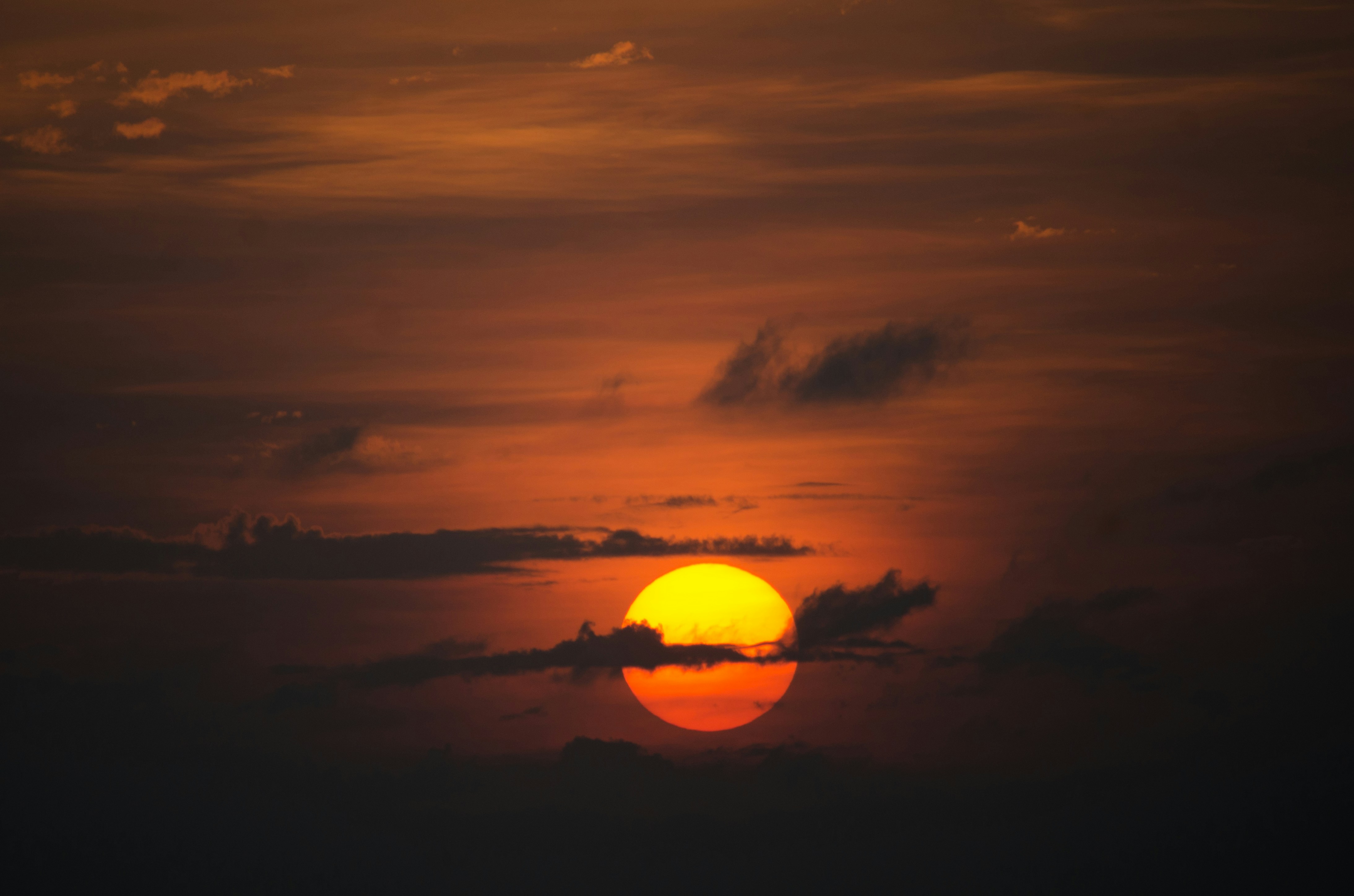 Photo by bappadityachandra