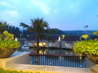 A tranquil waterside view with modern bungalows set among lush greenery. A palm tree and potted plants adorn the foreground, with the calm water reflecting the overcast sky and buildings. The setting suggests a peaceful and picturesque vacation spot.